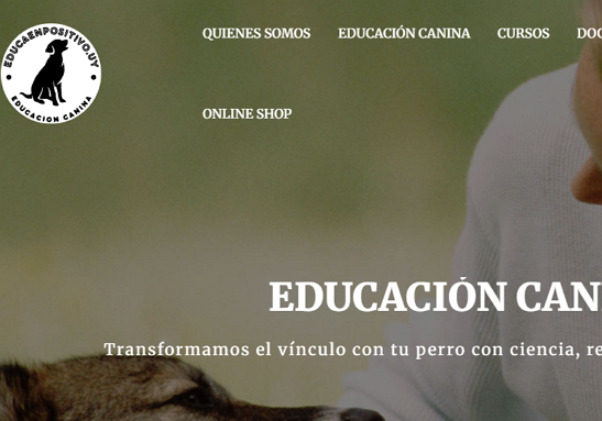 Educa en Positivo - Diseño Web y Tienda E-commerce: imagen del proyecto